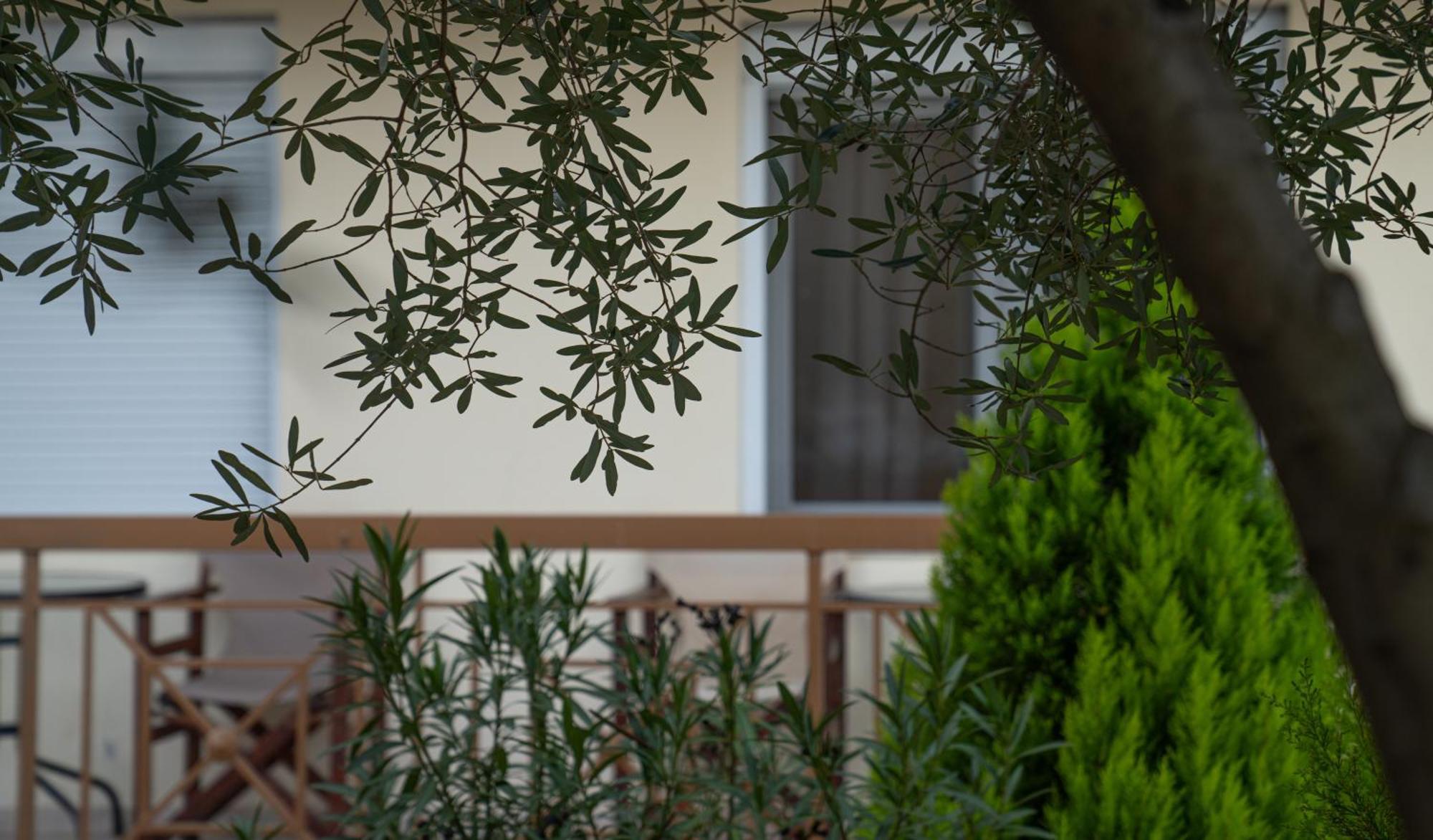 Adonis Apartment Loutraki (Pella)